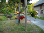 Bild_9