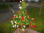 Bild_10